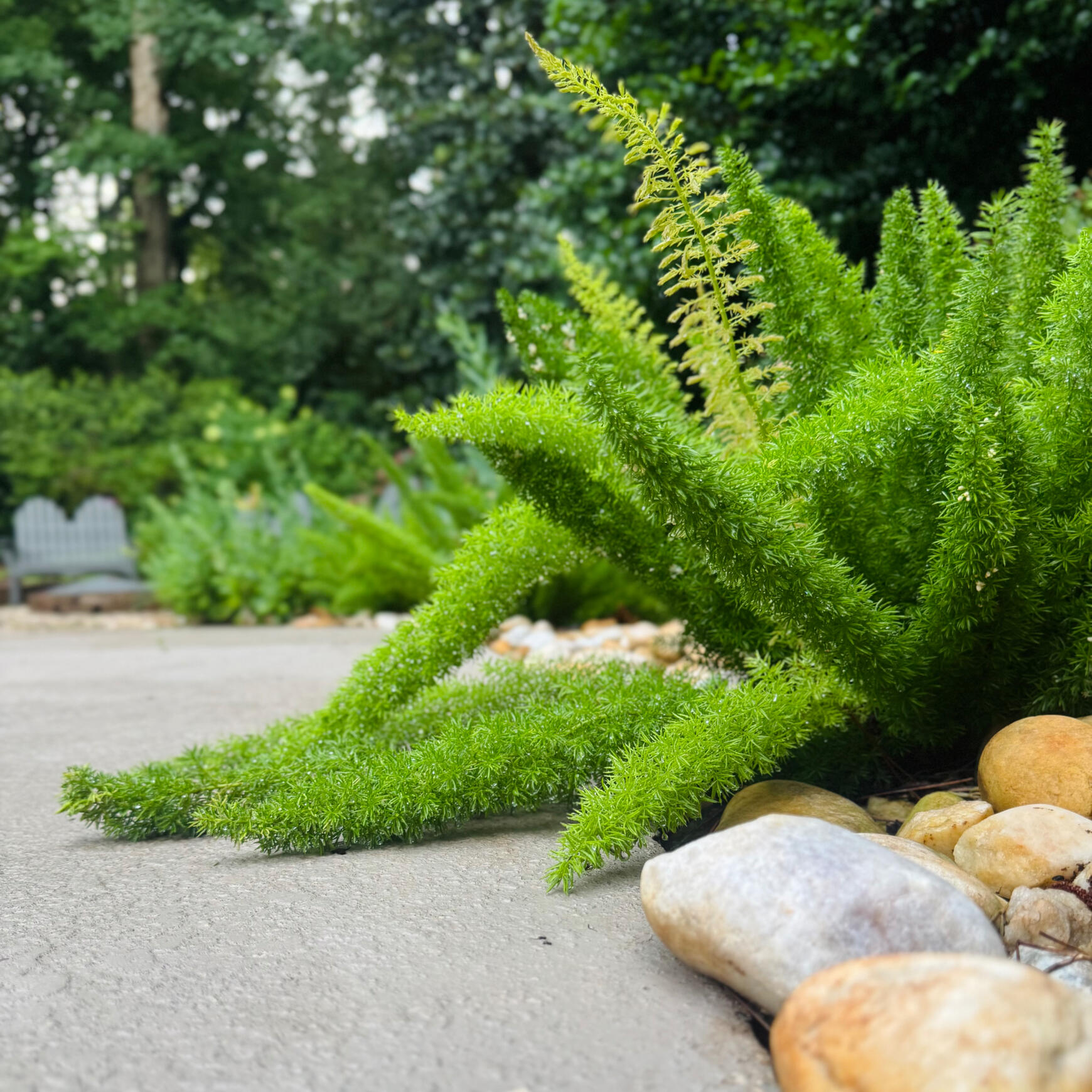 This project made a splash without a large budget. Simple changes, big difference: fresh paint, warm brass, and natural wood details that make this porch feel like home again.