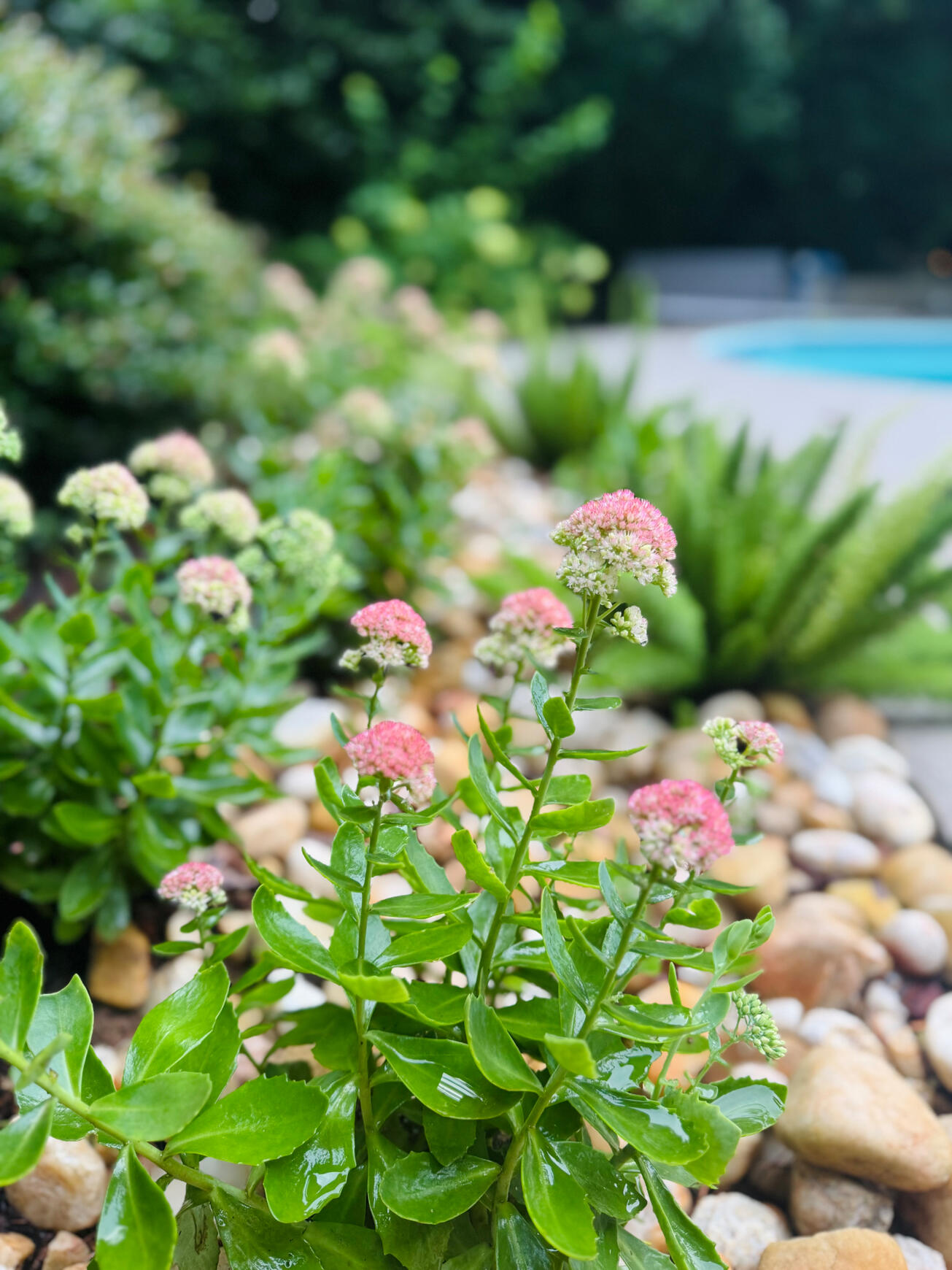 The client's goal was classic curb appeal with warmth and character. The Unstuck solution was navy siding, bright white trim, brass details, and natural wood for balance. The client's goal was classic curb appeal with warmth and character. The Unstuck solution was navy siding, bright white trim, brass details, and natural wood for balance.